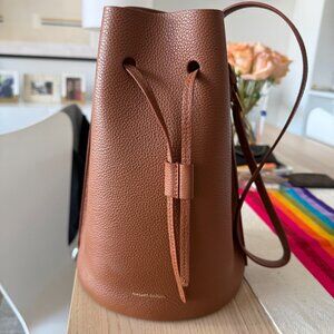 Mansur Gavriel Champagne Bucket Bag (Near Perfect Condition)